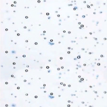 Стеновая панель ПВХ КронаПласт Nova Гольфстрим (фон)